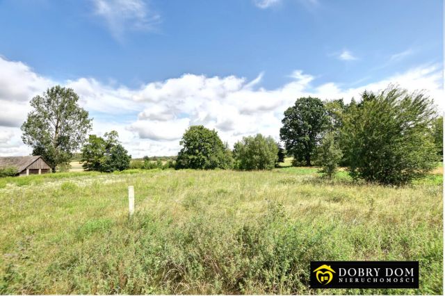 siedlisko, 1 pokój Nowodziel. Zdjęcie 11