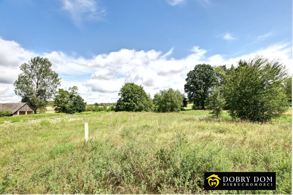 siedlisko, 1 pokój Nowodziel. Zdjęcie 11