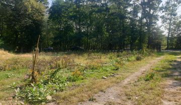 siedlisko Strzeniówka