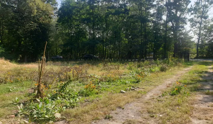 siedlisko Strzeniówka