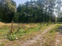 siedlisko Strzeniówka