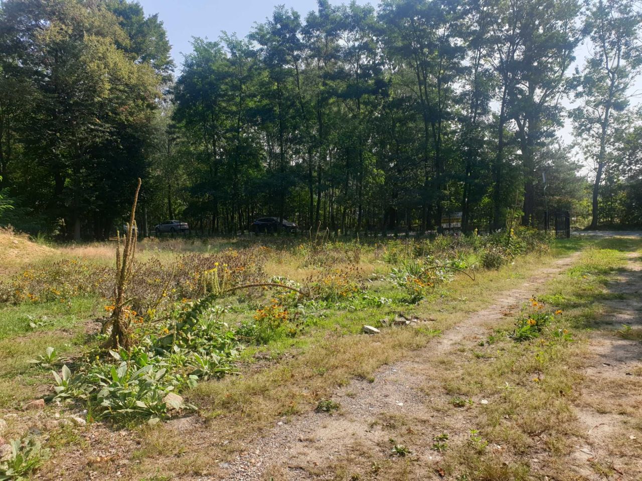 siedlisko Strzeniówka