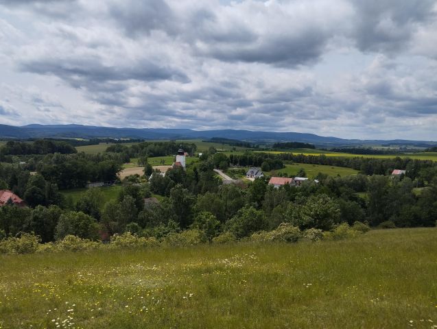 Działka siedliskowa Rybnica. Zdjęcie 1