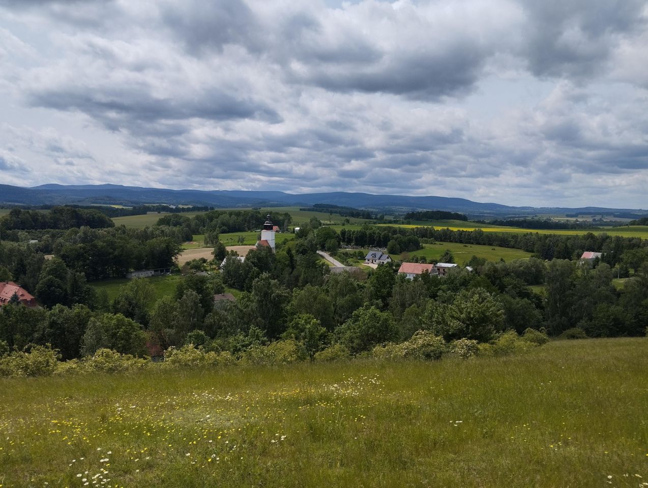 Działka siedliskowa Rybnica. Zdjęcie 1