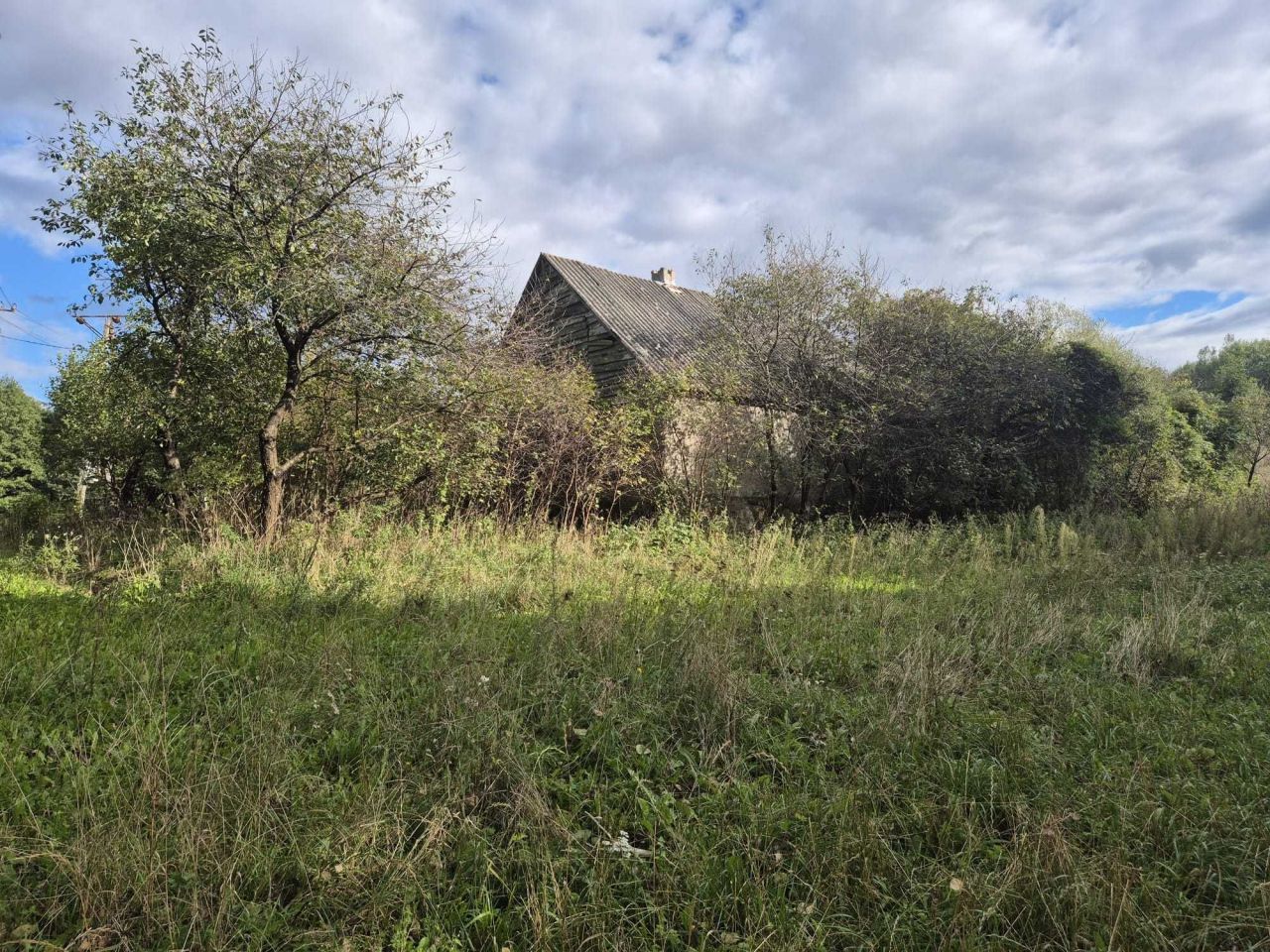 Działka siedliskowa Trzcin. Zdjęcie 4