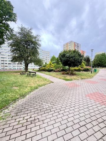 Mieszkanie 2-pokojowe Szczecin Centrum, ul. 26 Kwietnia. Zdjęcie 12