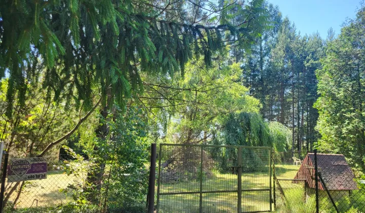 Działka budowlana Sosnowiec Sosnowiec-Pieńki