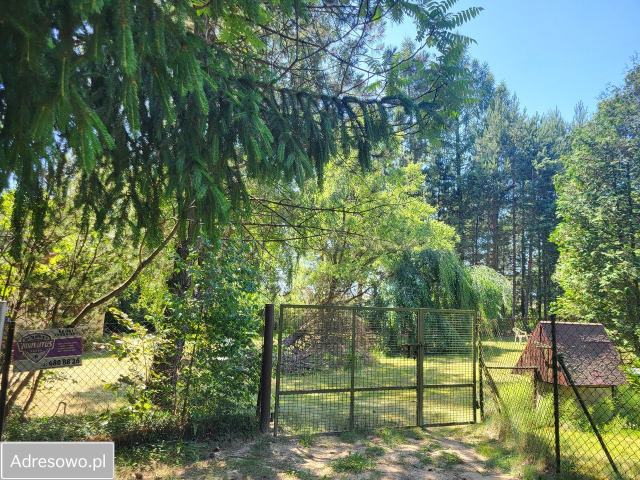 Działka budowlana Sosnowiec Sosnowiec-Pieńki. Zdjęcie 1