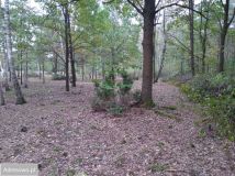 Działka budowlana Nowa Wieś. Zdjęcie 4