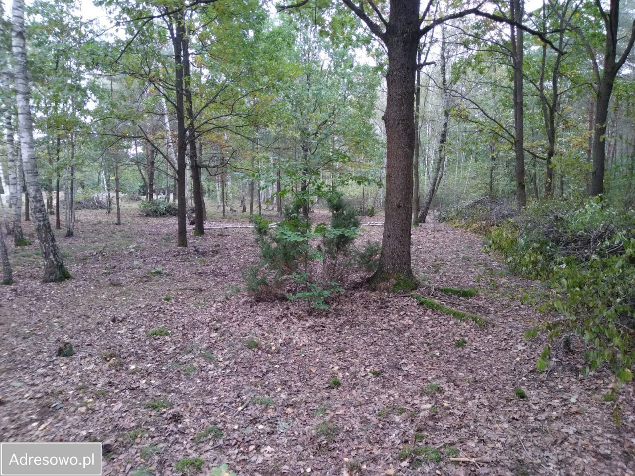 Działka budowlana Nowa Wieś. Zdjęcie 5