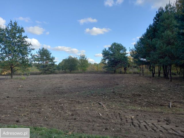 Działka budowlana Łoś, ul. Meliorantów. Zdjęcie 1