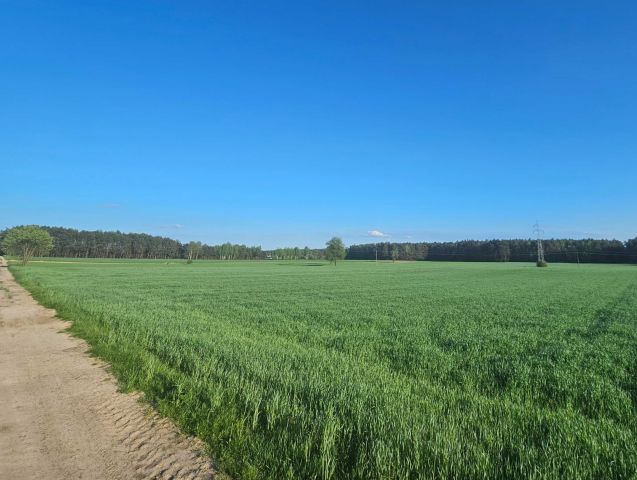 Działka rolna Brzeziny. Zdjęcie 1