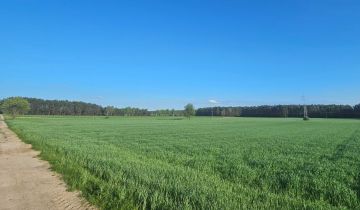 Działka rolna Brzeziny