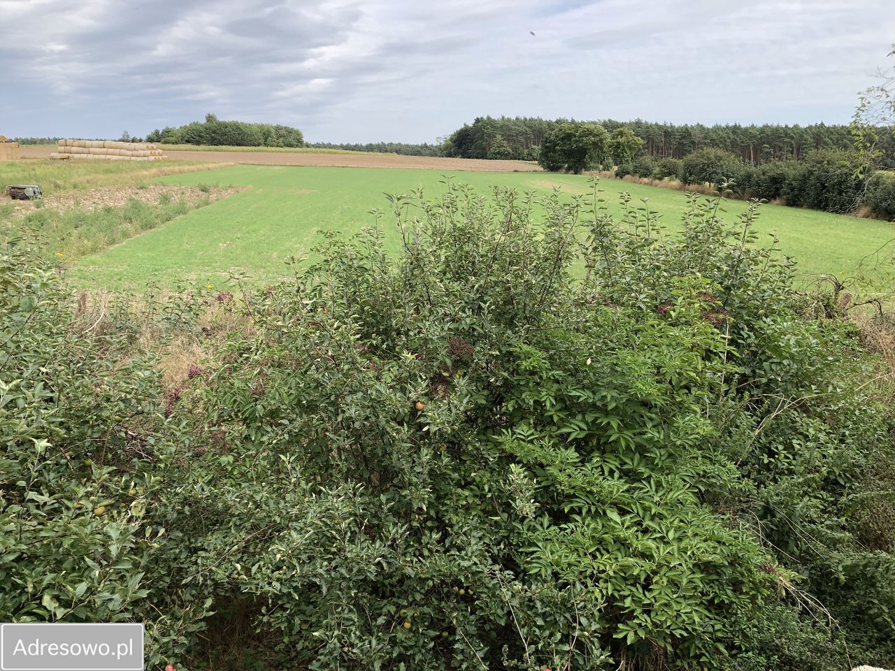 siedlisko, 3 pokoje Komratowo. Zdjęcie 9