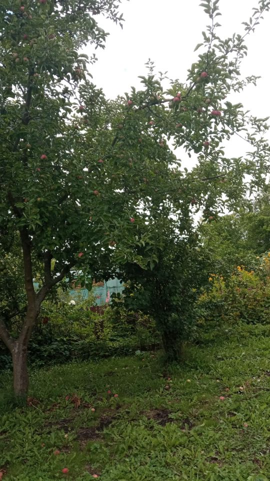 Działka rod Piła Koszyce, ul. Koszalińska. Zdjęcie 5