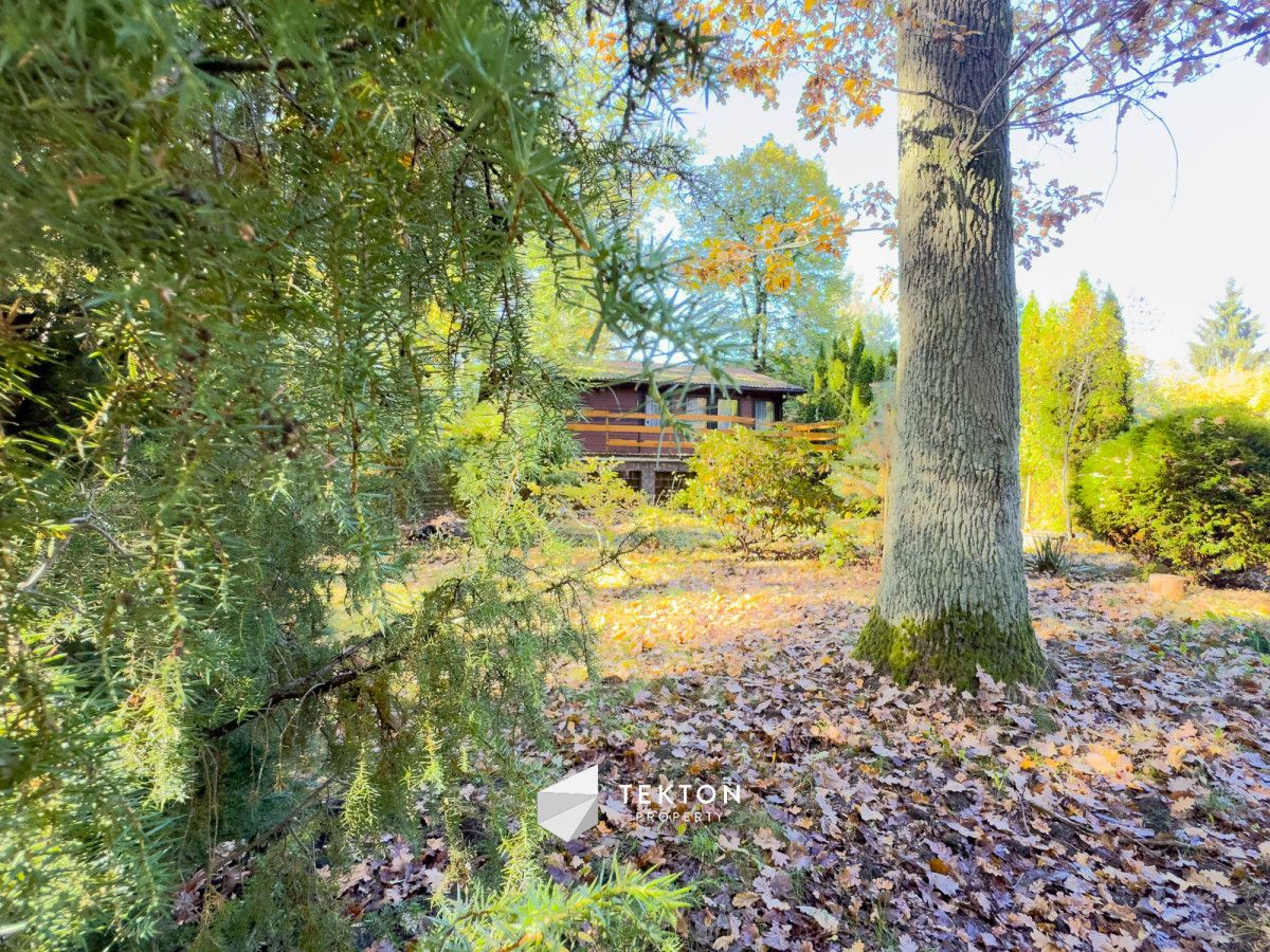 Działka leśna Warszawa Stara Miłosna, ul. Torfowa. Zdjęcie 9