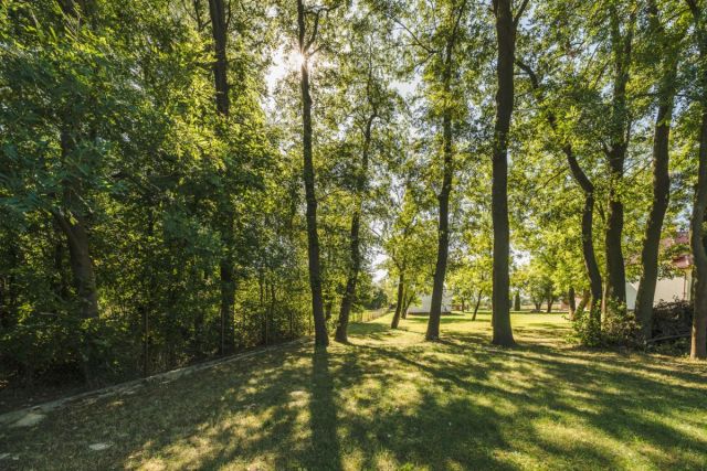Działka budowlana Opacz. Zdjęcie 18