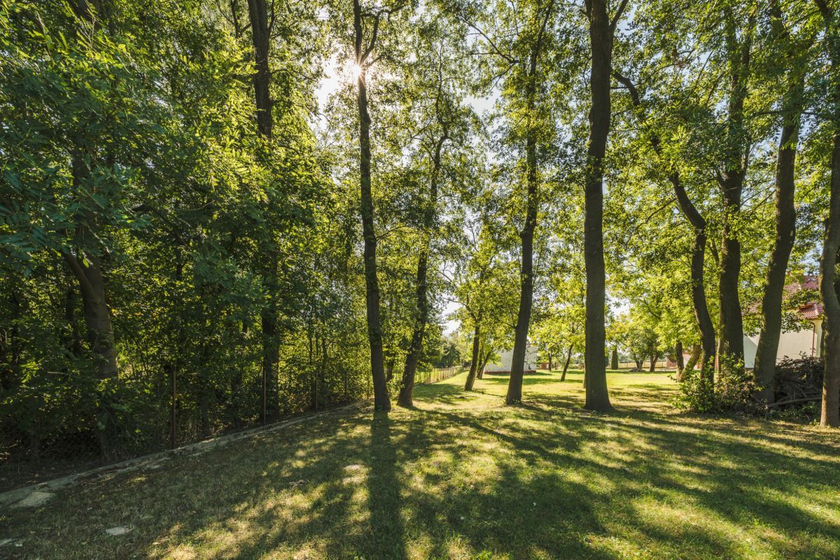 Działka budowlana Opacz. Zdjęcie 18