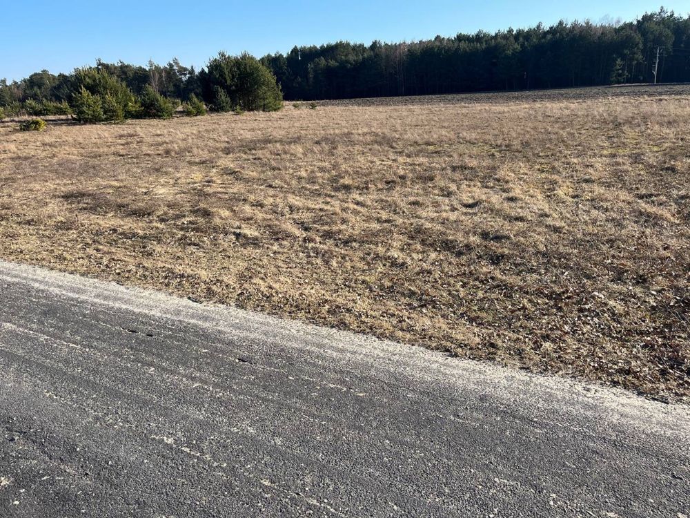 Działka rolno-budowlana Borki Walkowskie. Zdjęcie 4