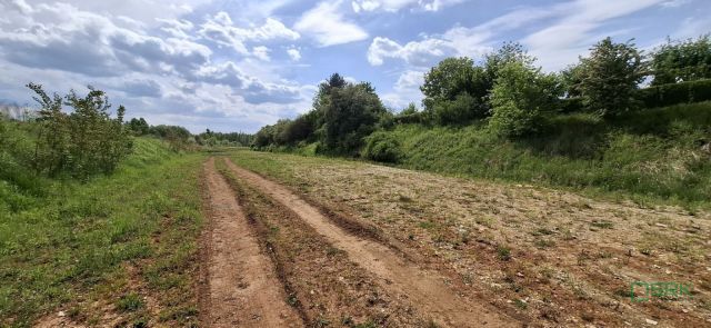Działka Sosnowiec, ul. Teofila Lenartowicza. Zdjęcie 7