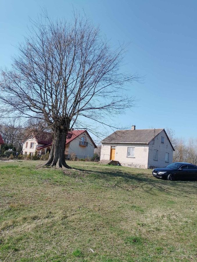 siedlisko Wola Starogrodzka. Zdjęcie 5