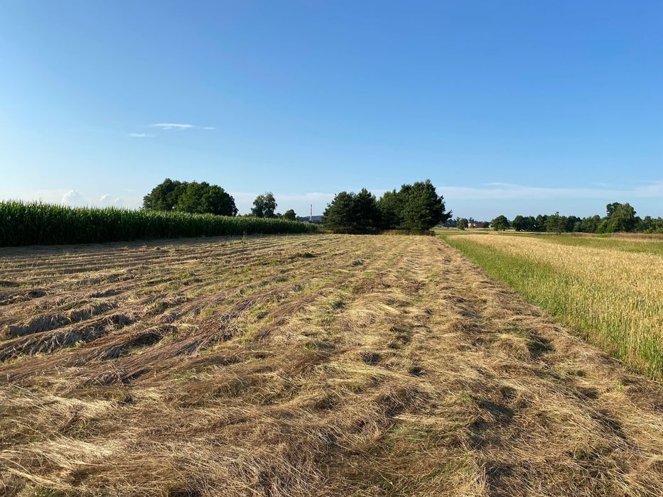 Działka budowlana Rudziczka, ul. Baraniok. Zdjęcie 4