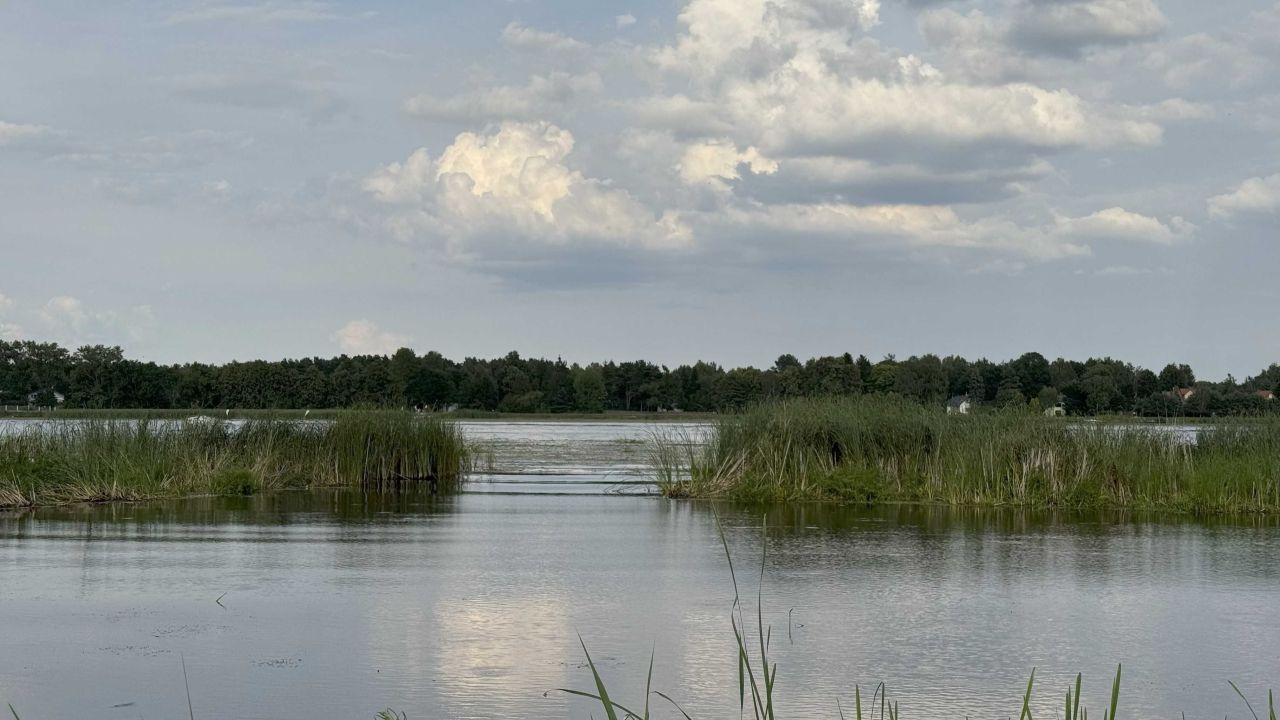 Działka budowlana Wierzbica. Zdjęcie 6