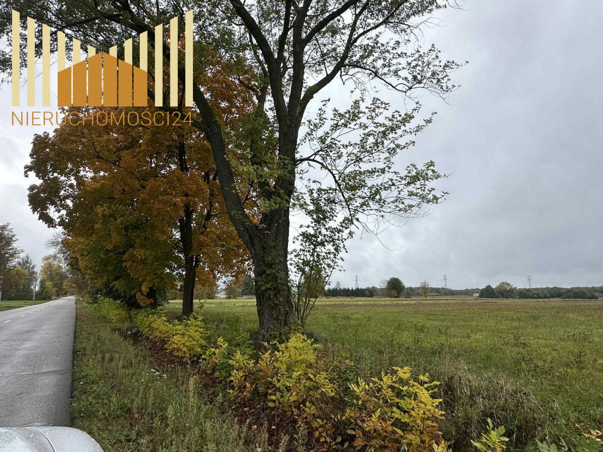 Działka rolna Huta Kuflewska. Zdjęcie 2
