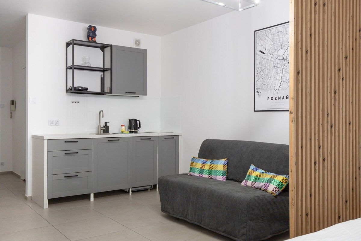 Mieszkanie 1-pokojowe Poznań Stare Miasto, ul. Piekary. Zdjęcie 10