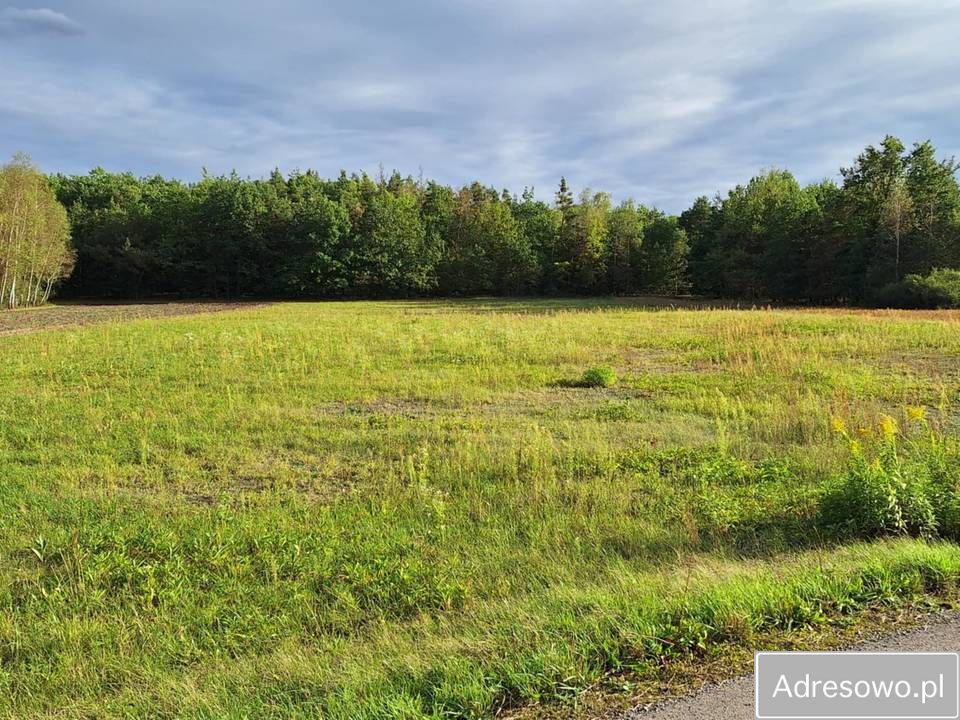 Działka budowlana Świdrówka. Zdjęcie 6