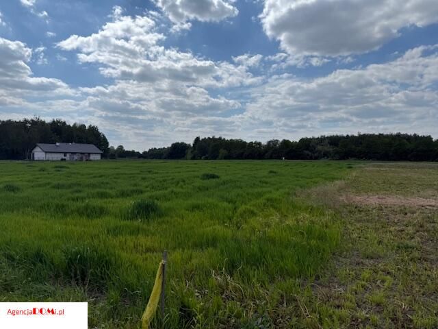 Działka budowlana Cholewy. Zdjęcie 2