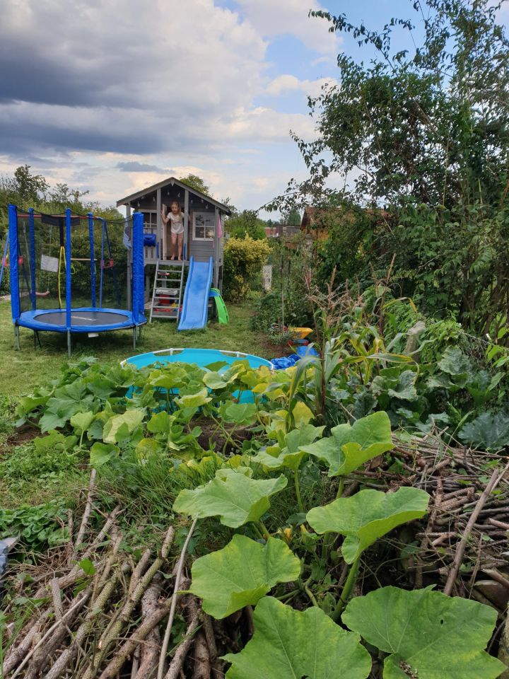 Działka rod Szczecin Śródmieście, ul. Marynarska. Zdjęcie 12