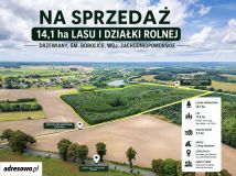Działka Drzewiany. Zdjęcie 1