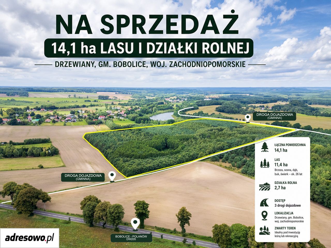 Działka Drzewiany. Zdjęcie 2
