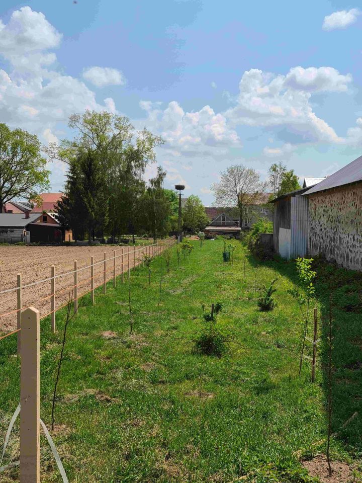 siedlisko, 2 pokoje Surały. Zdjęcie 8