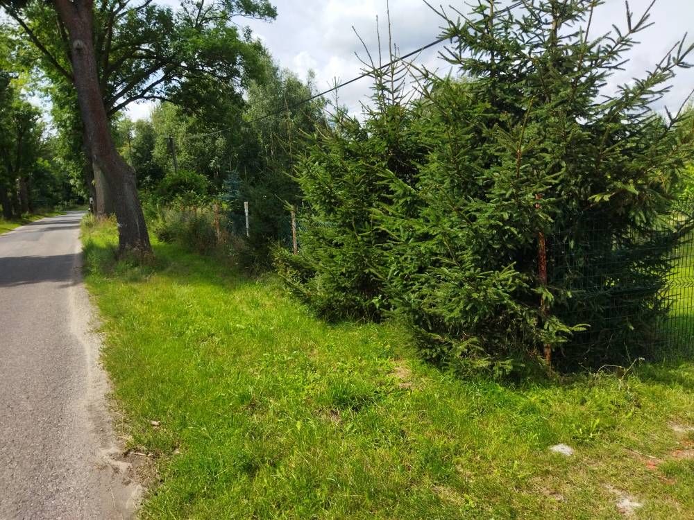 Działka rolna Nowa Jabłona. Zdjęcie 2