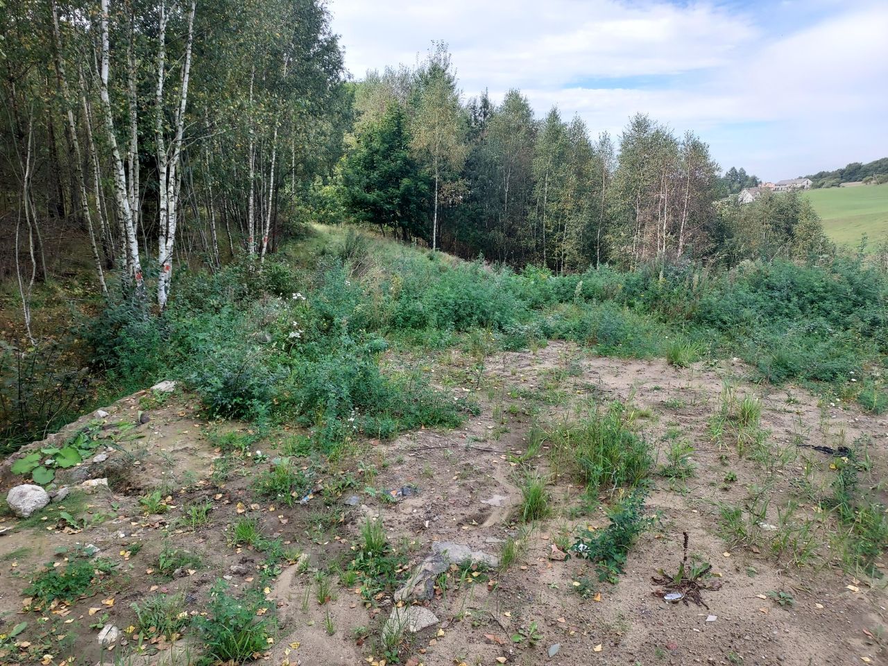 Działka budowlana Szemud, ul. Nowiny. Zdjęcie 9