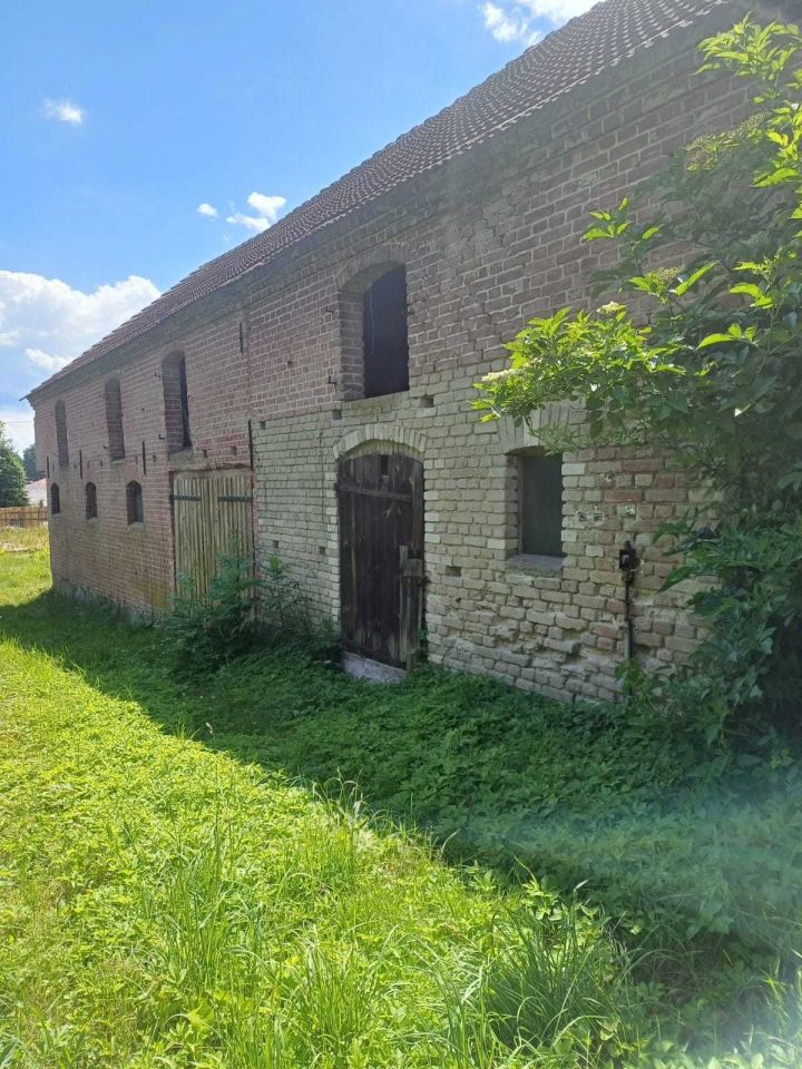 Działka budowlana Dzierżążno Wielkie. Zdjęcie 2