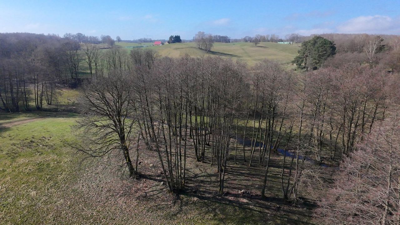 Działka rolna Rydzewo. Zdjęcie 7