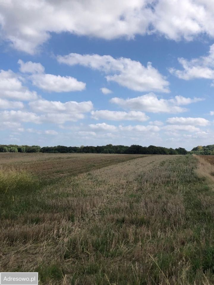 Działka budowlana Łekno. Zdjęcie 2