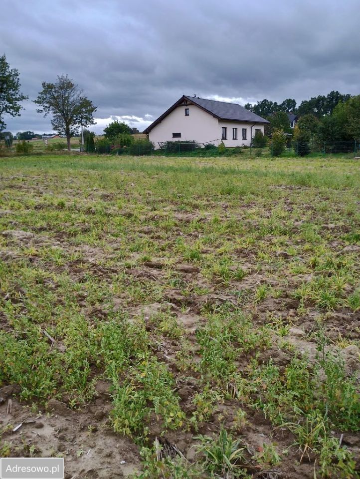 Działka rolno-budowlana Zebrzydów. Zdjęcie 6