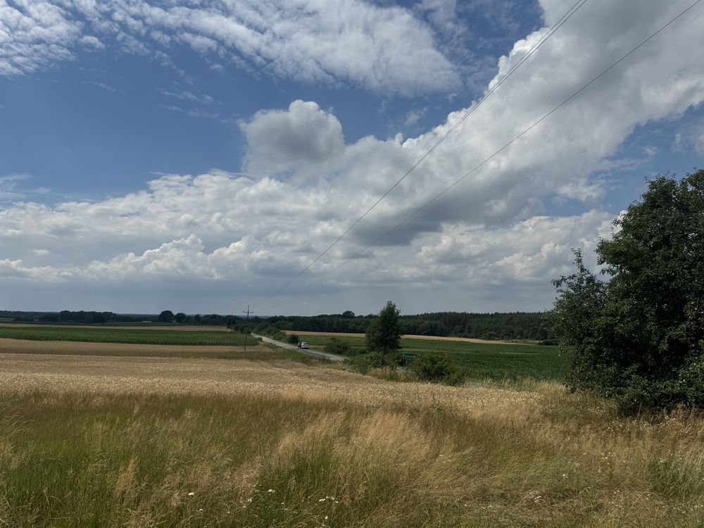 Działka rolno-budowlana Kadłubia. Zdjęcie 3