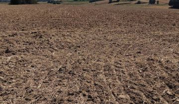 Działka rolna Skierbieszów, ul. Zamojska