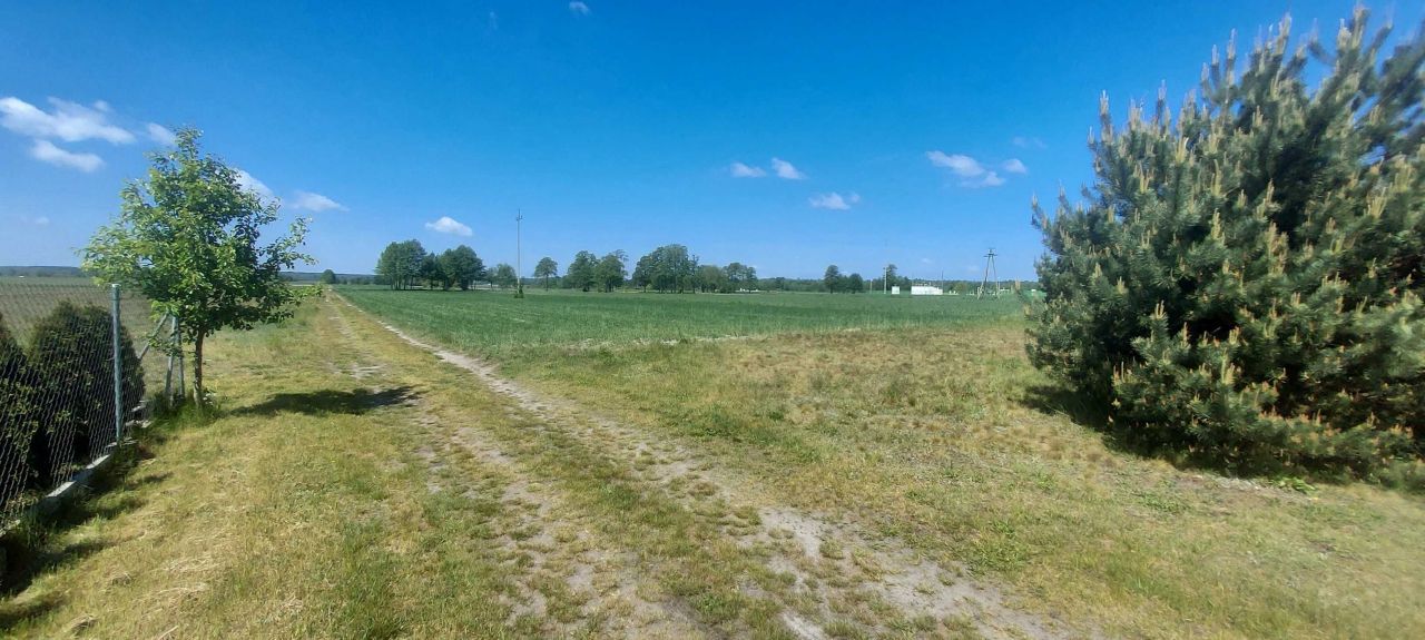 Działka budowlana Dobroń, ul. Zakrzewki. Zdjęcie 8