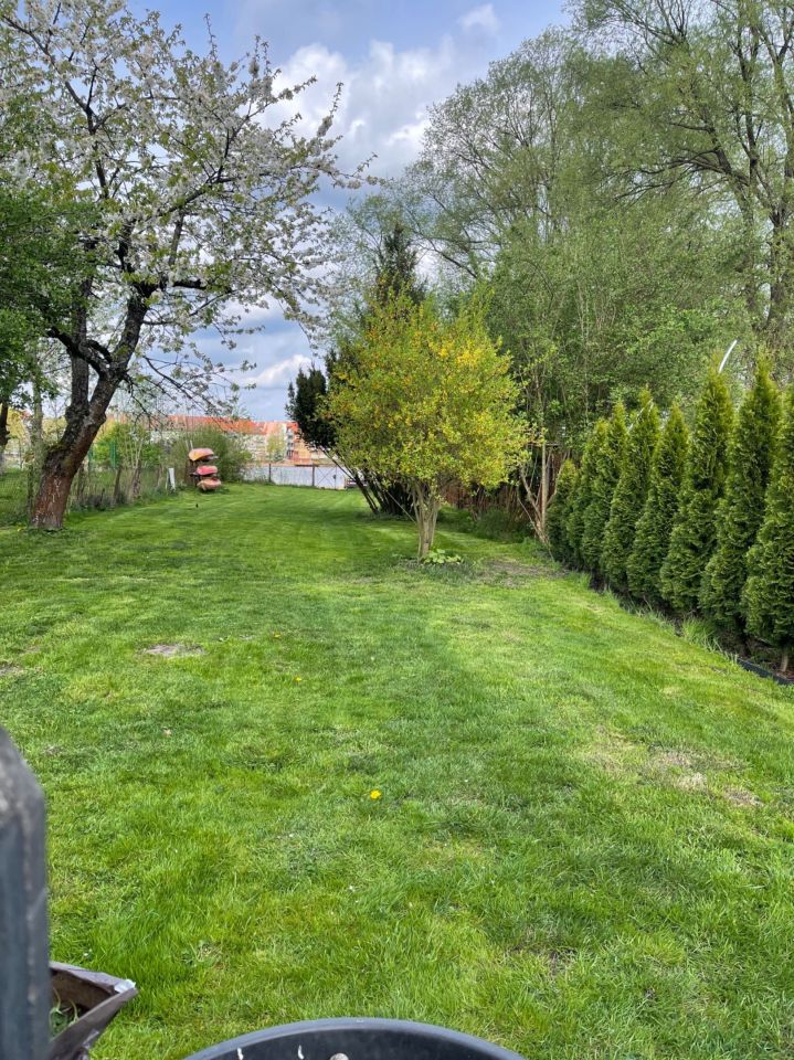 kamienica, 3 pokoje Wałcz. Zdjęcie 6