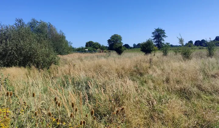 Działka budowlana Deszczno, ul. Bławatkowa