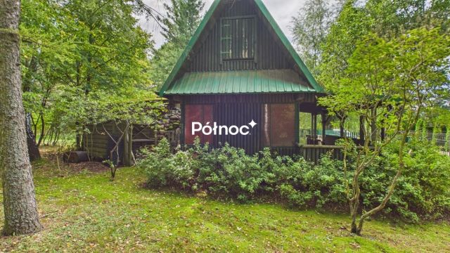 dom letniskowy, 3 pokoje Ptaki. Zdjęcie 22