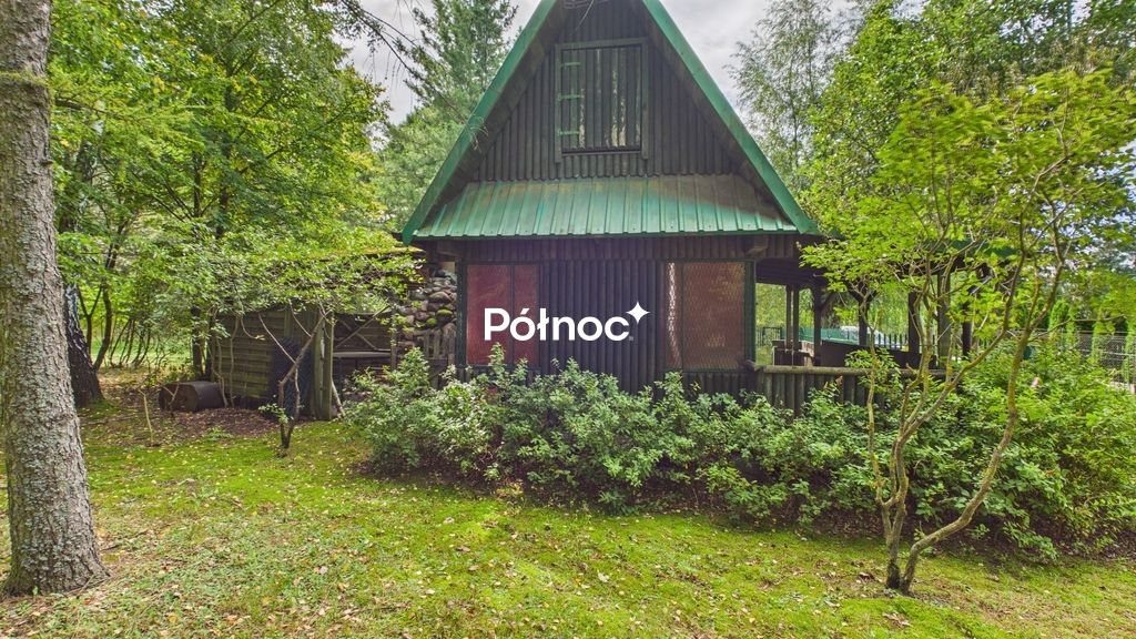 dom letniskowy, 3 pokoje Ptaki. Zdjęcie 22