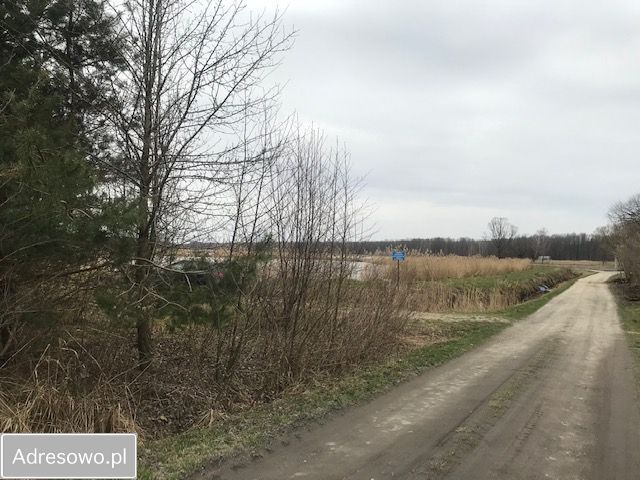 Działka siedliskowa Grzegorzewice. Zdjęcie 3