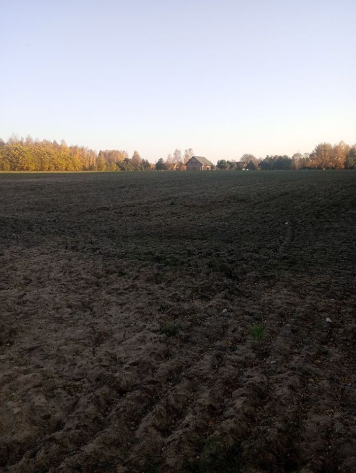 Działka budowlana Siedlce. Zdjęcie 6